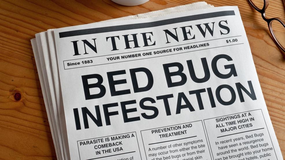 Mediterranean Inn Seattle Bed Bugs Mediterranean Inn Seattle Bed Bugs