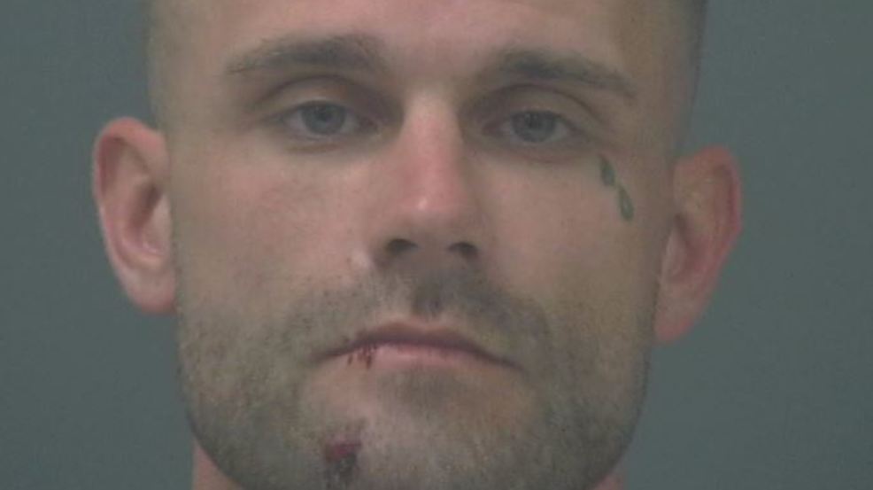 Rosa lee essay 07 image