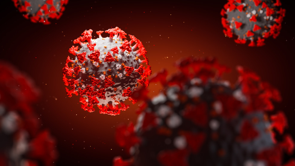 Maine CDC reports 1 new death, 18 more cases of coronavirus - WGME