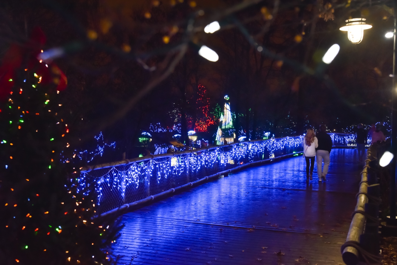 There's Nothing Better This Holiday Season Than Festival Of Lights At