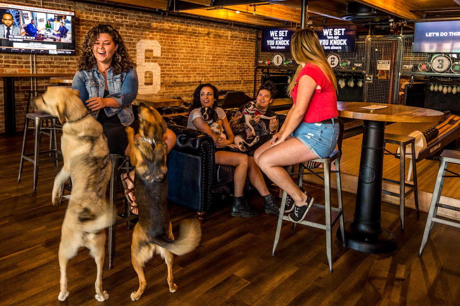 19+ dog-friendly food coloring Here are 18 west austin adventures you&#039;re missing out on