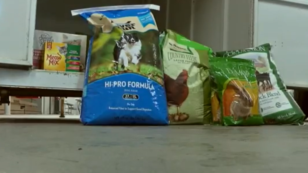 Free pet food available for owners in need amid pandemic WCTI