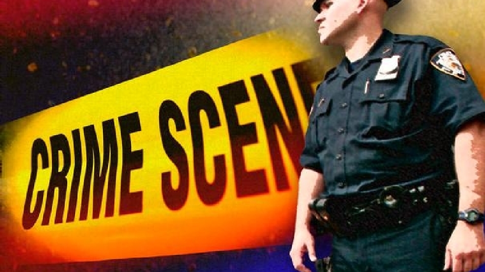 Human Remains Found In The Woods Fairfax County Wjla