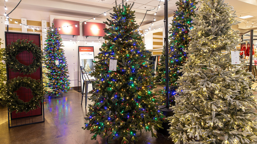Christmas Tree Lots Near Me Open Now 10 Places To Buy Cheap Christmas Trees In Singapore Real Artificial Options From 10