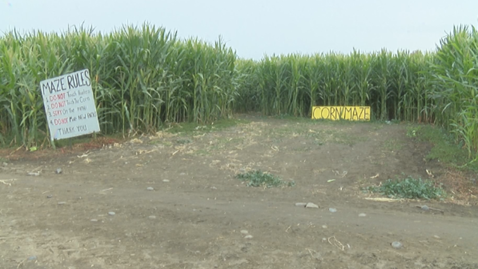 Get spooked at the Union Gap Corn Maze KIMA