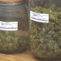 Vashon Island pot shop still operating without license