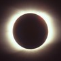 Nebraska researchers look at animal behavior amid eclipse