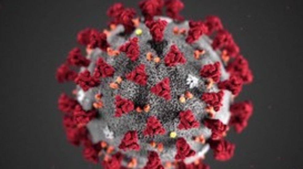 CORONAVIRUS.jpg CORONAVIRUS.jpg
