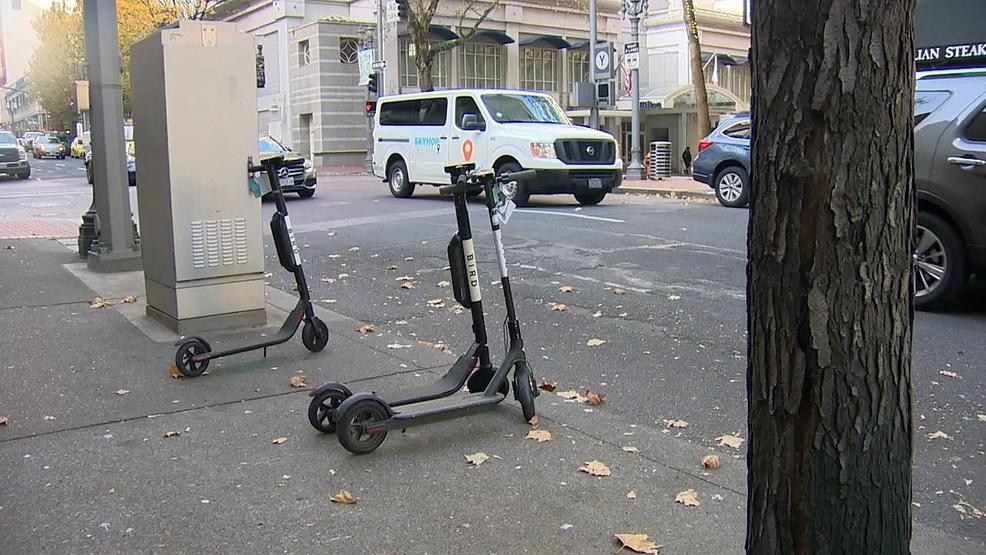 Image result for seattle e scooter program