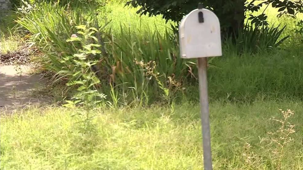 City of Roseburg reminds property owners of 12-inch grass, weed restriction