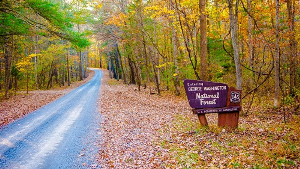 Washington and Jefferson National Forests reopen select