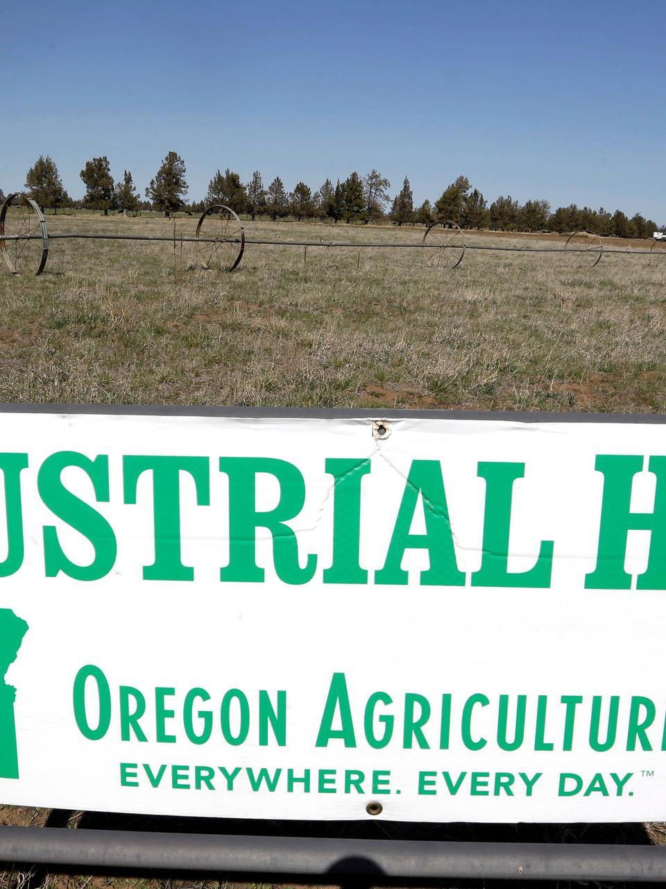 Hemp At Target And Walmart All These Big Players Are Going To