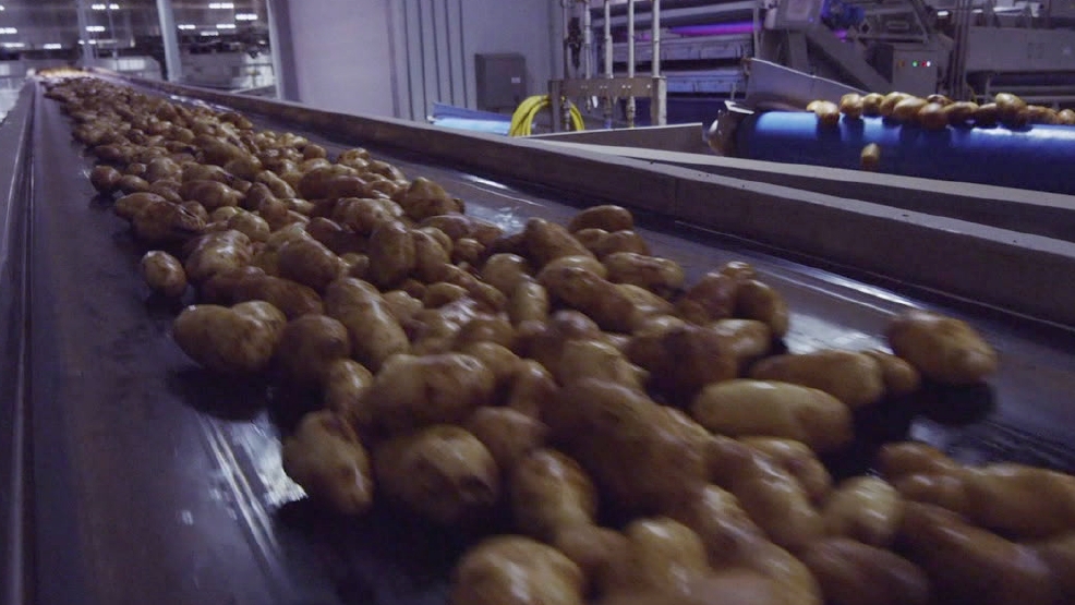 Celebrate Oregon Agriculture: Potatoes