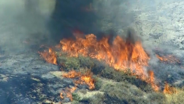 VIDEO: California brush fire in Angeles National Forest 