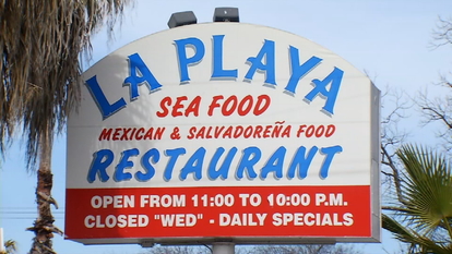 Are Salvadorenas en la playa impudence! cleared Simply matchless Salvadorenas en la playa