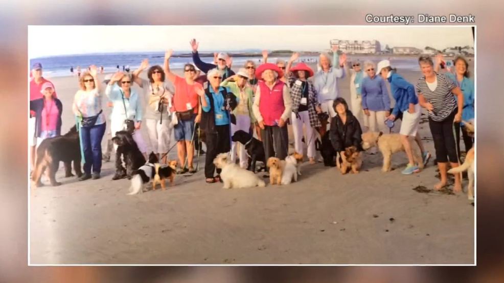 dog bush walks near me