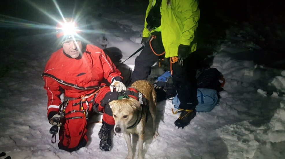 8 hours in dog years