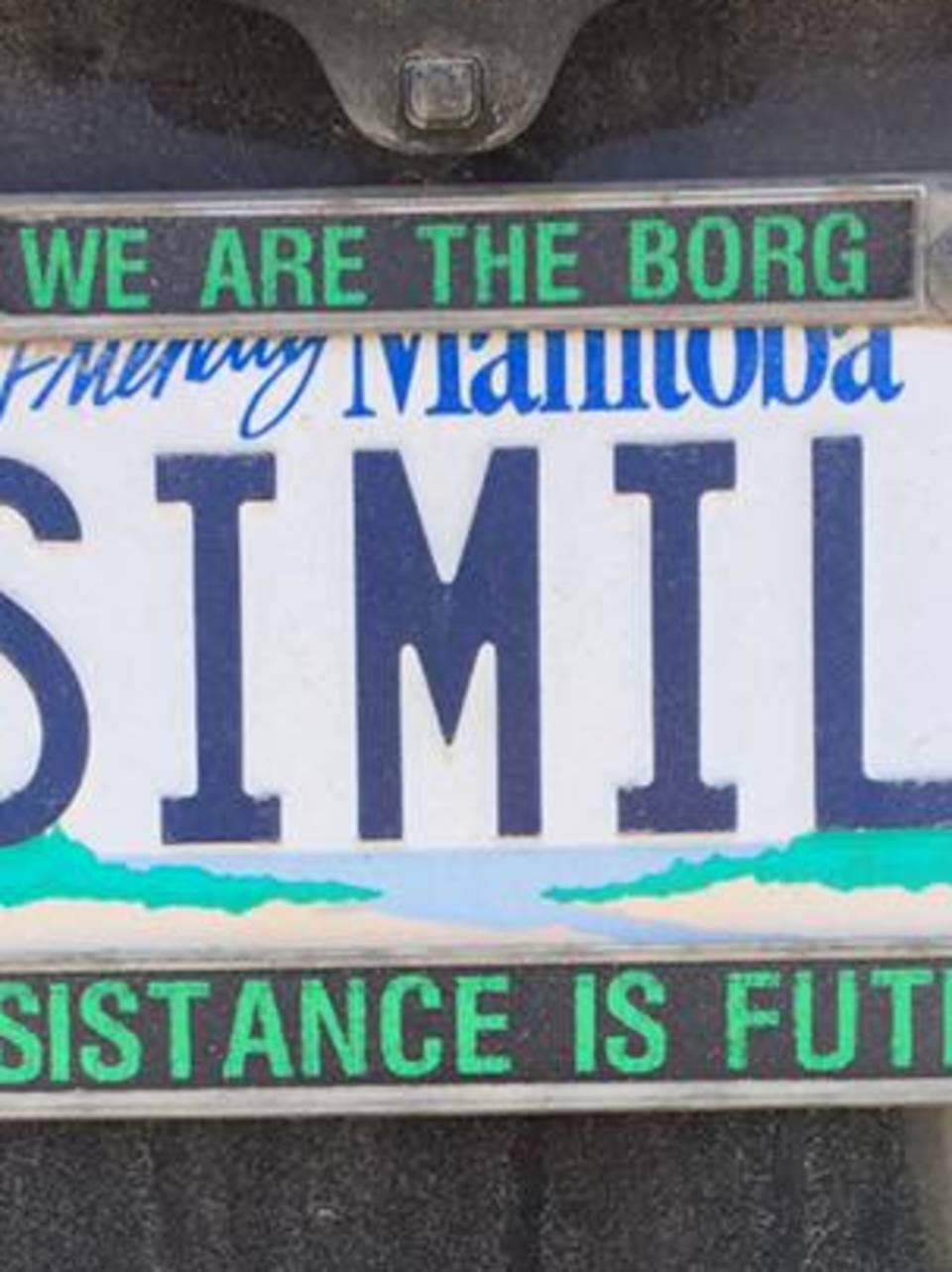 dog themed license plates